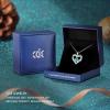 CDE Valentine’s Day Gift Forever Love Heart Necklaces for Women, Wedding Anniversary, Birthday Mothers Christmas Day Gifts for Mom, Mother, Wife, S925 Silver Jewelry with Birthstone Pendant(Sliver-12-Dec)
